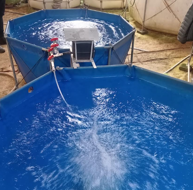 Paired aquaculture tanks suitable for controlled comparative trials
