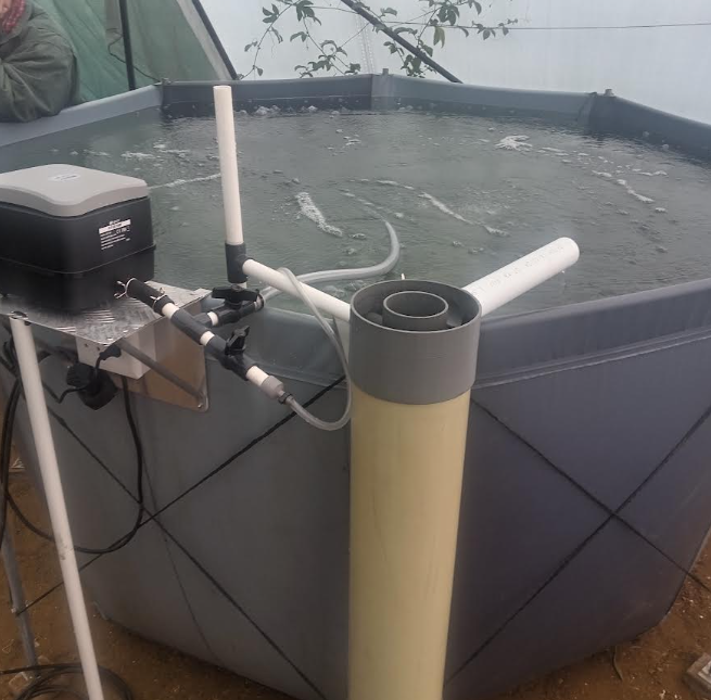 Working CMES tank with air pump, airlift piping and external collector
