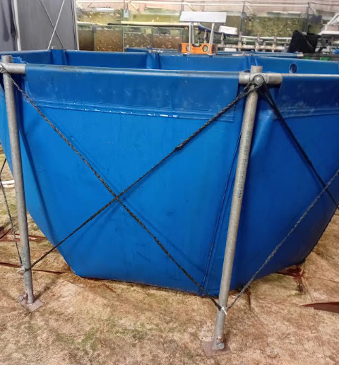 Galvanised octagonal aquaculture tank frame and shaped liner